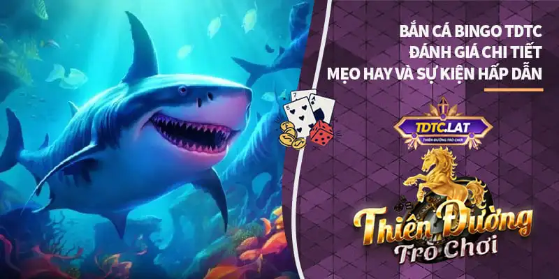 bắn cá bingo tdtc thiên đường trò chơi